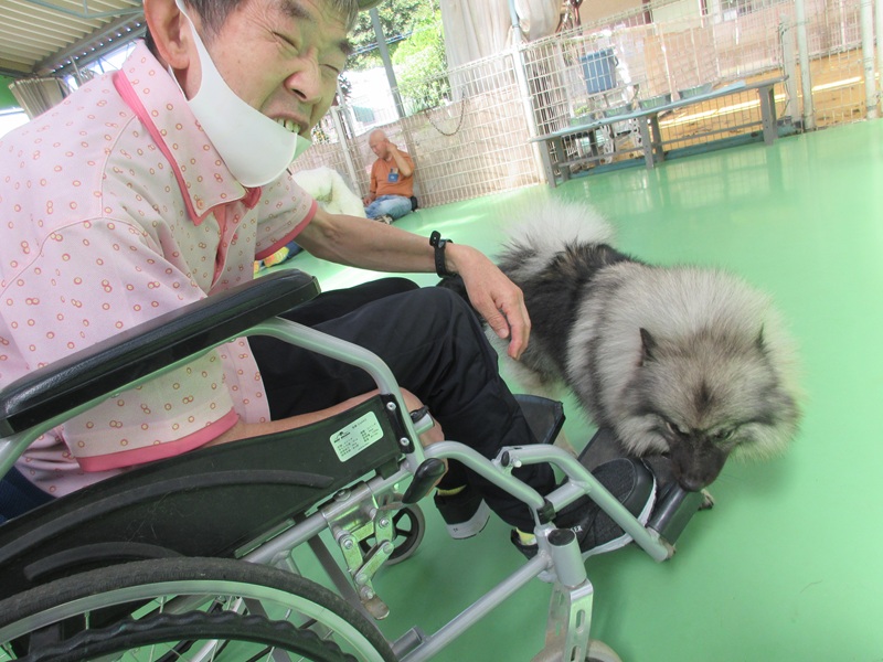 【ステップ】Oユニット園外活動