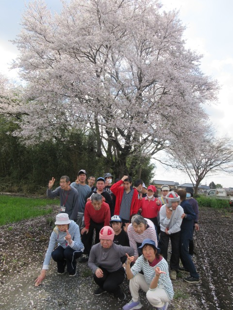 【サポートセンター樹々】🌸お花見🌸